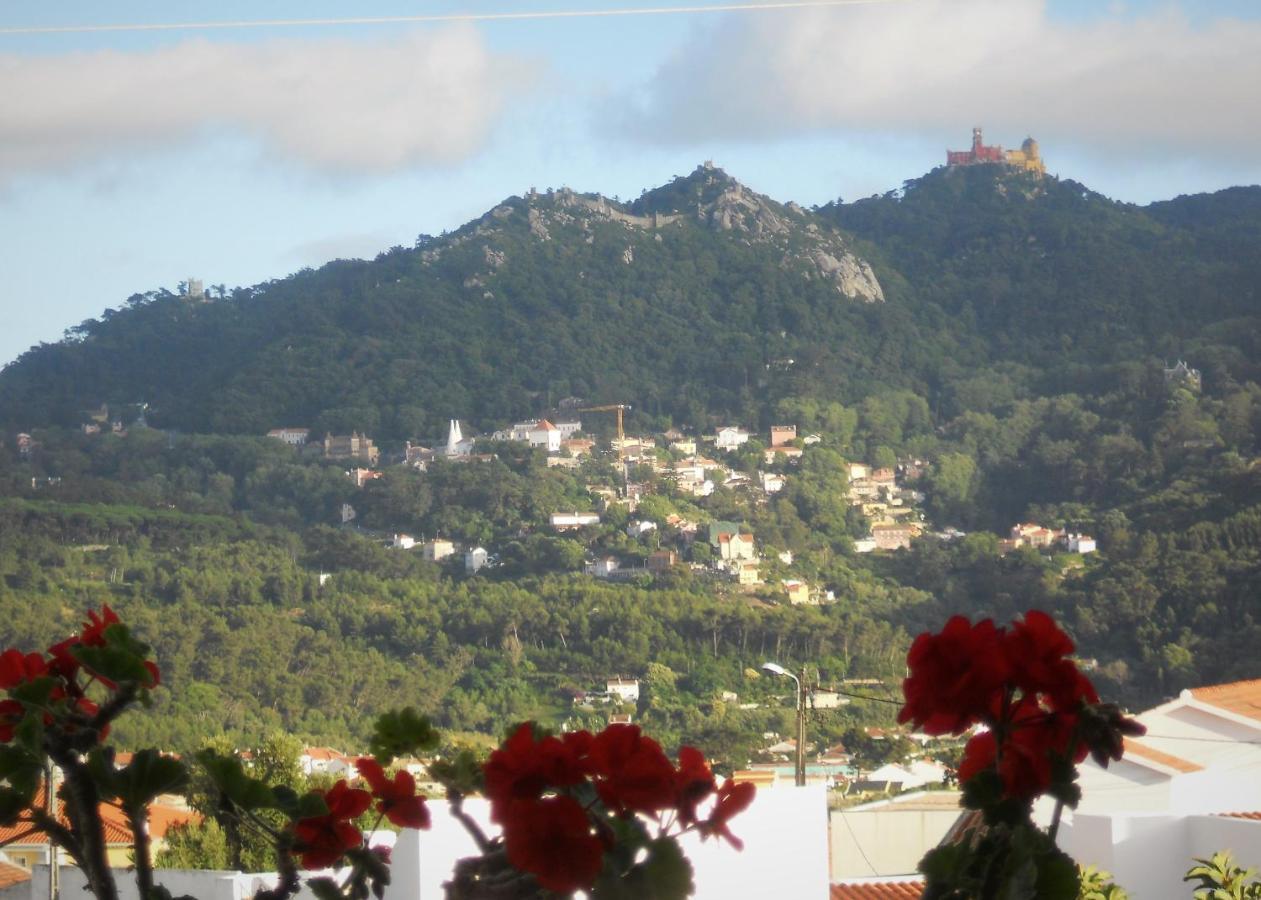 Galo Preto - Sintra Guesthouse Eksteriør billede