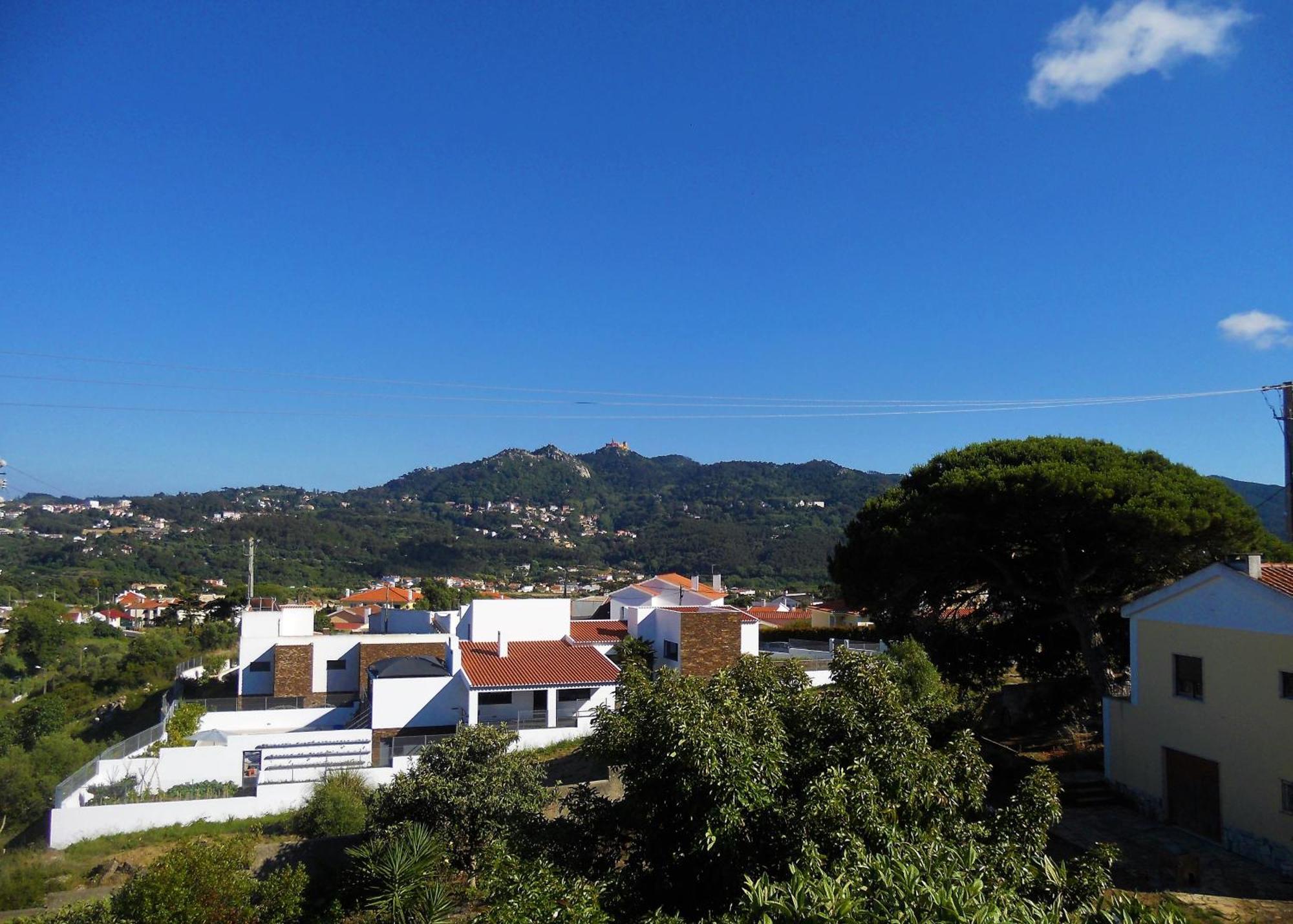 Galo Preto - Sintra Guesthouse Værelse billede